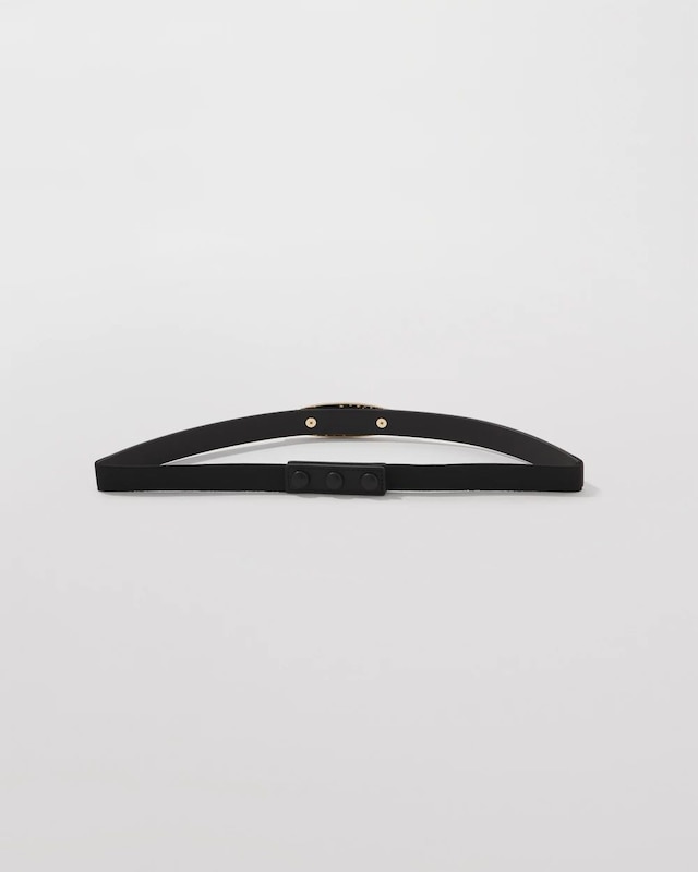 WHBM_Dusted_20Pave_20Waist_20Belt_570399518_BLK000001_TT_ALT_201.jpeg
