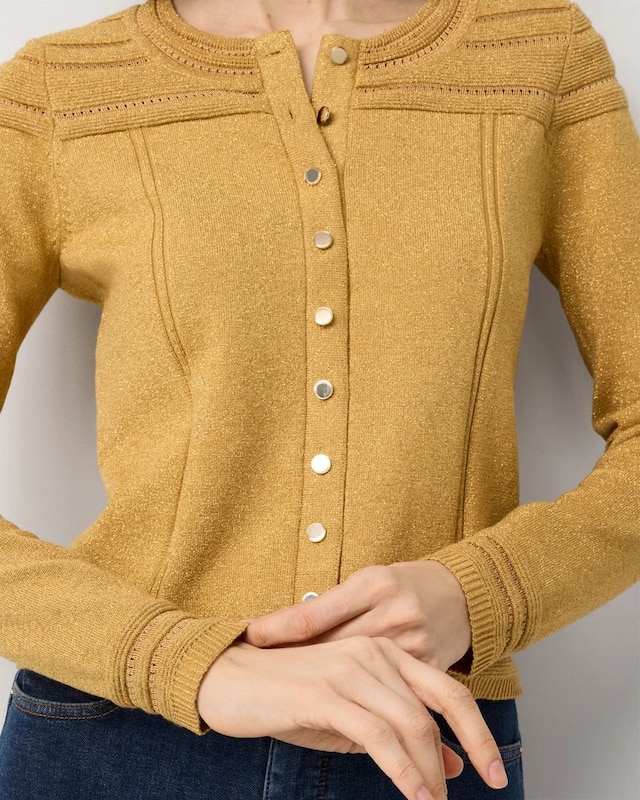 WHBM_Gold_20Metallic_20Cardigan_570408097_MTL007398_OF_ALT_202.jpeg