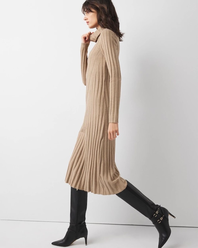 WHBM_LS_20T_20Nck_20Sweater_20Dress_570380175_NEU006315_OF_MAIN.jpeg