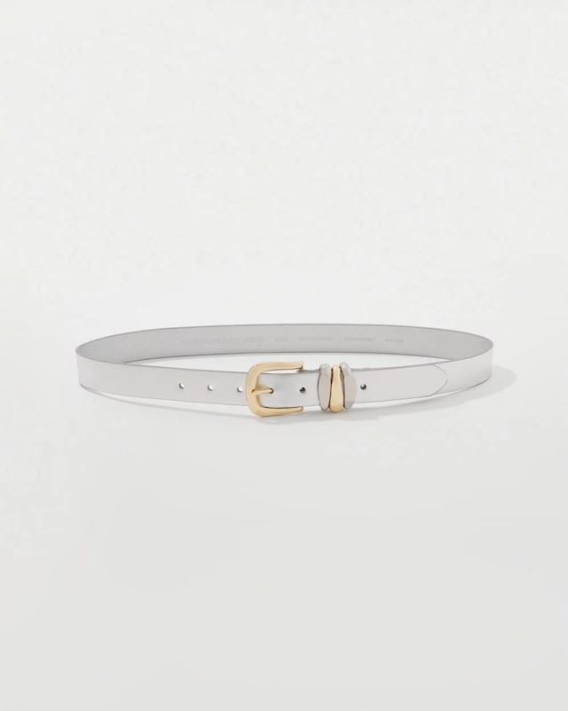 Metallic Belt