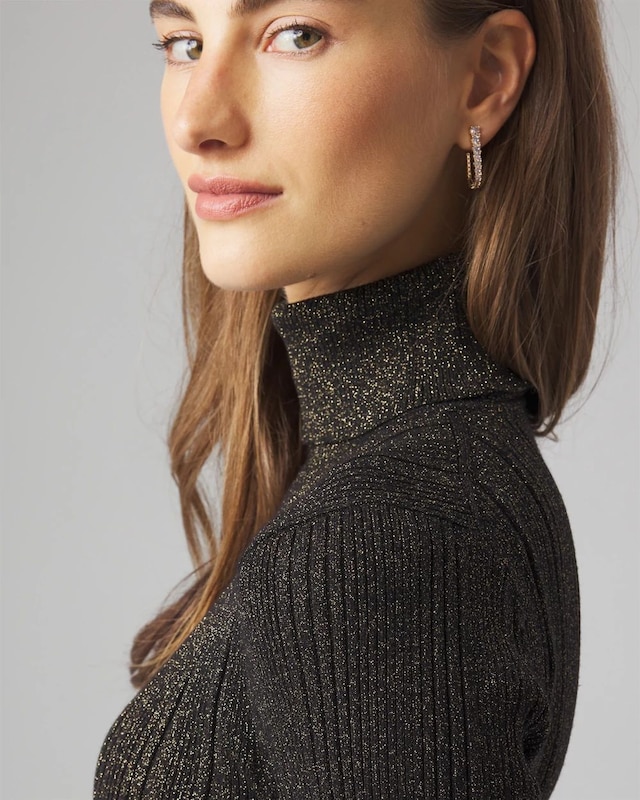 WHBM_Ribbed_20Turtleneck_570378647_BLK006447_OF_ALT_202.jpeg